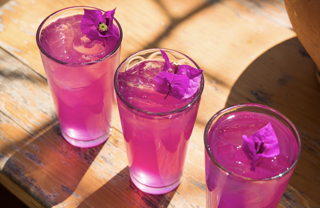 El sabor de la innovación: cómo las bebidas auténticas de Oaxaca conquistan mercados globales y revitalizan la identidad regional