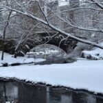 La nieve cubre la ciudad que nunca duerme: Nueva York y sus alrededores bajo el impacto de una tormenta invernal histórica.